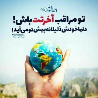 حدیث از امام علی علیه السلام